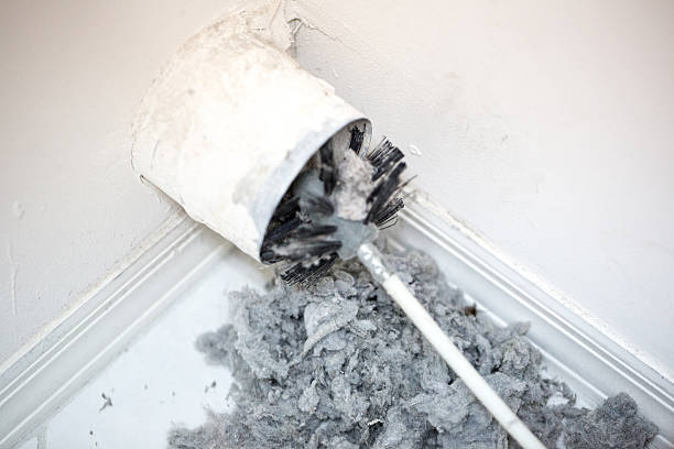 Best Air Vent Cleaning Services  in Bellevle, IL